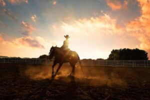 Horse Ranch