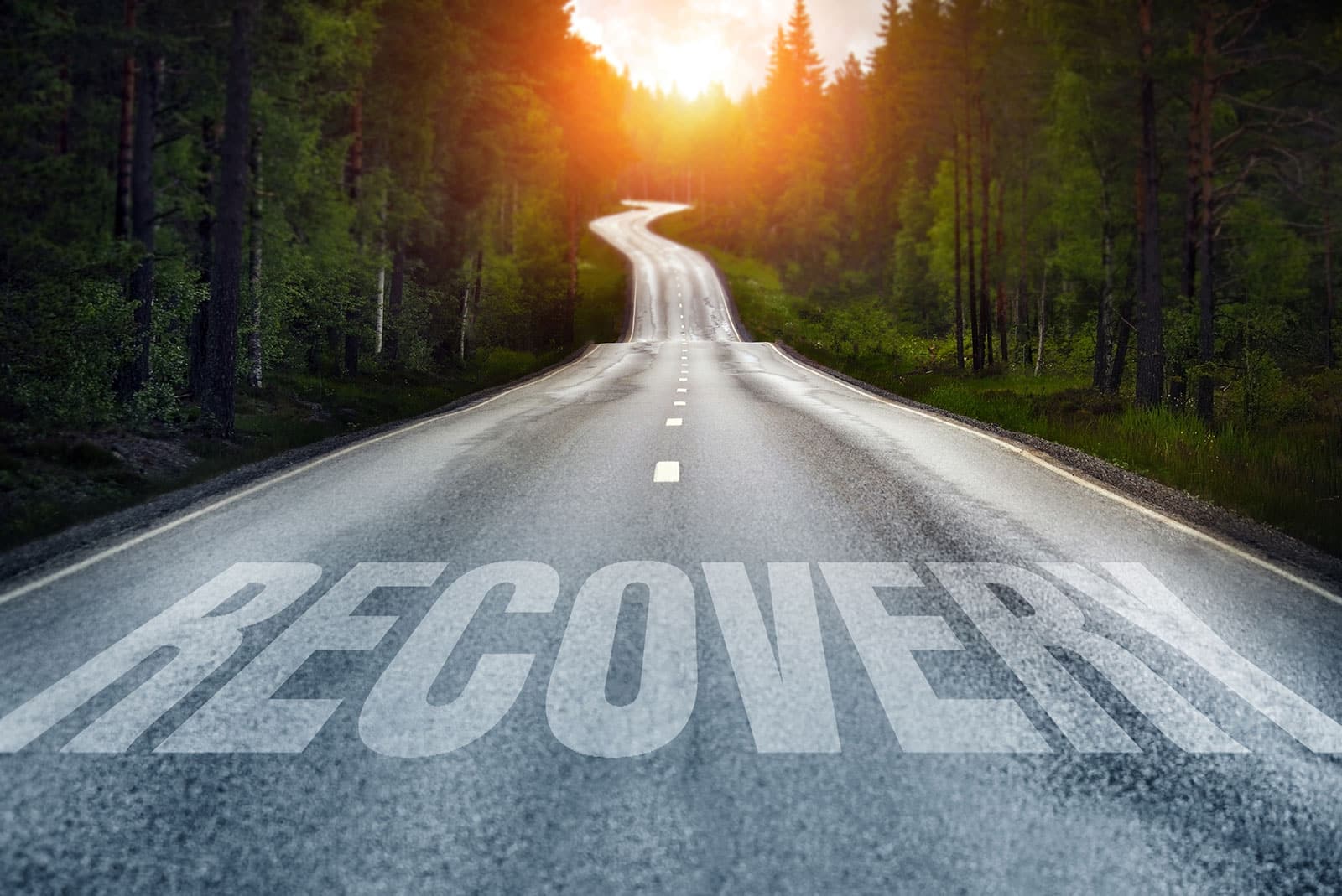 How Does SMART Recovery Work