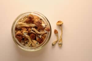 Magic Mushroom