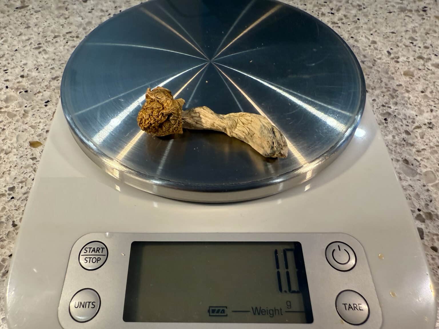 How Much Is a Gram of Shrooms? The True Costs & Risks - Long Island ...
